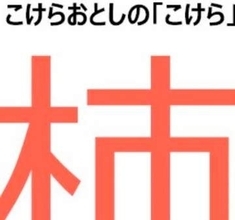 「柿（かき）」と「杮（こけら）」、どこが違う？実は別の漢字だった…⇨比較動画に「もはや間違い探し」と反響