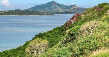 在フィジー日本大使が撮った南国の野鳥たちがカラフルでかわいすぎる。貴重な鳥たちの姿がこれだ