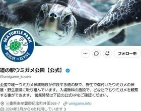カメに餌をあげようとしたら⇒「欲しているのはスタッフさんの…」「カメあるある」と戦慄と共感の声