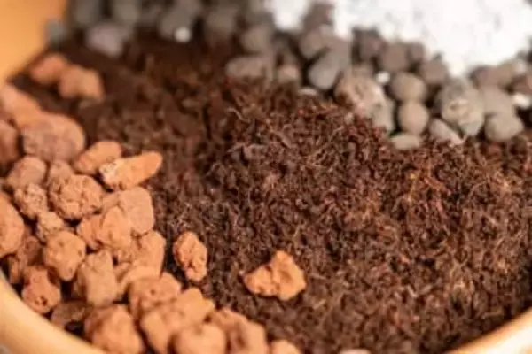 その「土」、ごみ集積所に出したらダメです。「時折集積所に出てくる…」ゴミ清掃芸人が正しい捨て方を発信