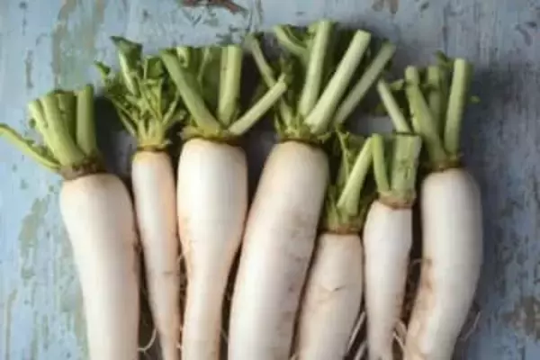 焼肉とベストマッチ！大根あったらこれ作って。甘みと食感で箸が止まらない、JAの「大根炊き込みご飯」レシピ