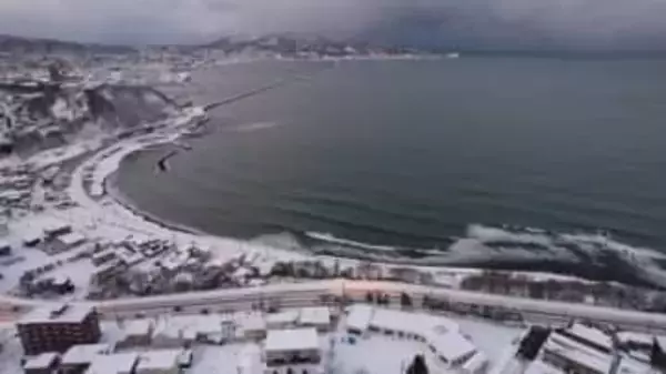 海が真っ白に…北海道・小樽で「群来」確認。ニシンの産卵による幻想的な自然現象