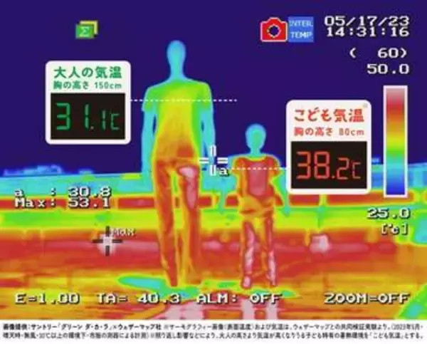子どもの身長での気温は大人の＋7度⇨サーモグラフィーでも真っ赤に…酷暑日は50日以上にも？熱中症予防で「子ども用日傘」にも注目