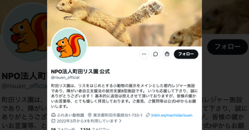 リスの水の飲み方がアバンギャルドすぎる。給水瓶もあるのになぜ…⇒「雨の日限定のお楽しみ？」の声