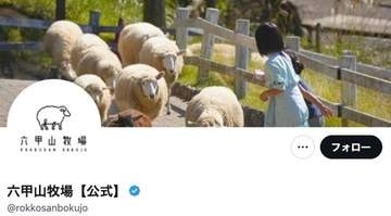 アルフィー高見沢そっくりの白い馬⇨「『ベルばら』のオスカル」「オダギリジョー」と反響続々