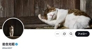 岩合光昭、THE ALFEEのグッズを愛猫・タマが気に入る「ネコ愛が繋いでくれた坂崎さんとのご縁」