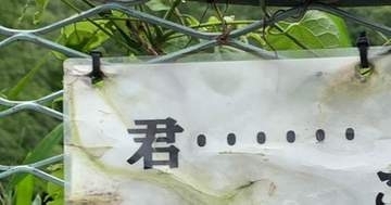岐阜・松尾池で発見された“古い看板”にネット震撼⇨大事な部分が欠けた“不穏な警告文”に「危機感を誘ってる」の声