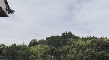 トイプードル、雨が上がって大はしゃぎ⇨「最高に良い写真」「飼い主と犬の背中が似てる」の声