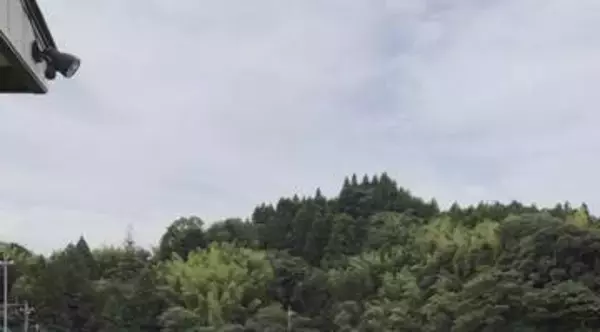 トイプードル、雨が上がって大はしゃぎ⇨「最高に良い写真」「飼い主と犬の背中が似てる」の声