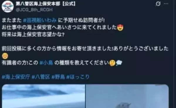 巡視船に“日本最小の鳥”？が降り立つ⇨「かんわいいいいー！」と話題。海保が写真を公開、「小鳥の種類教えて」