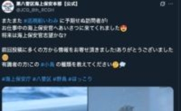 巡視船に“日本最小の鳥”？が降り立つ⇨「かんわいいいいー！」と話題。海保が写真を公開、「小鳥の種類教えて」
