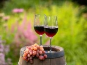 なぜ赤ワインは「長寿」と結びつけられてきたのか。複雑すぎる「少量の飲酒の影響」