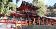 まるでジブリの世界…！奈良・春日大社で撮影された奇跡の一枚に「『もののけ姫』のシシ神のよう」