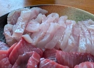 「待てができる猫」なのに…目力の強さと“臨戦態勢”に「一瞬でも目を離したら全部持って行かれそう」と爆笑