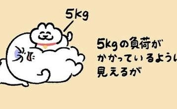 猫は人間に「刺さる」…！猫飼いの“常識”を図解した漫画に「あるある」「これほんまに痛い」の声