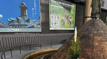 「暑すぎてついに…」奈良の鹿、近鉄奈良駅前で“まさかの行動”⇨「ずっと奈良に住んでて初めて見た！」と驚き