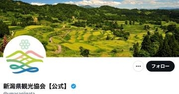 巨大な動物も出現...！新潟「わらアートまつり」の迫力がすごい⇨「戦闘力高い」「今にも動き出しそう」