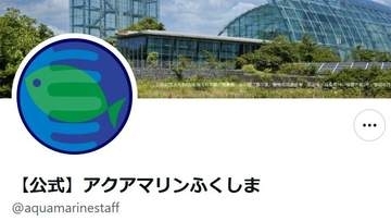 人間みたいなヒトデが話題⇨「昼寝中の父」「シャッターチャンスを逃さない飼育員さんすごい」の声