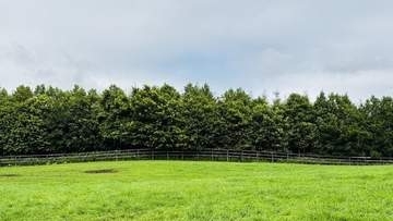 ここに猫がいます。牧場の草むらに紛れる看板猫の姿に「いいお顔」と反響