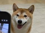 「「愛犬を上手に撮る方法」を実践したら⇨“チョロすぎる結果”に「100％良い写真が撮れるw」「そんな手が！！」」の画像1
