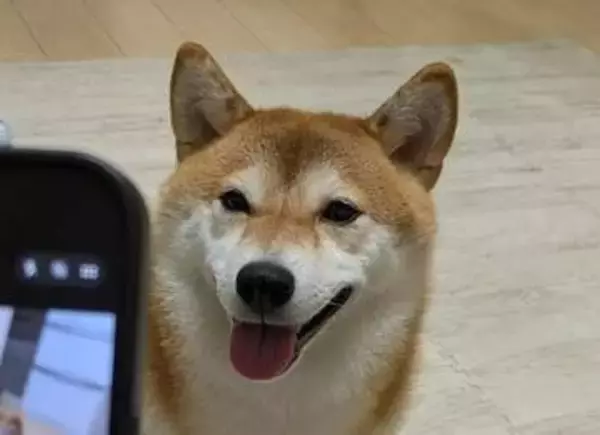 「愛犬を上手に撮る方法」を実践したら⇨“チョロすぎる結果”に「100％良い写真が撮れるw」「そんな手が！！」