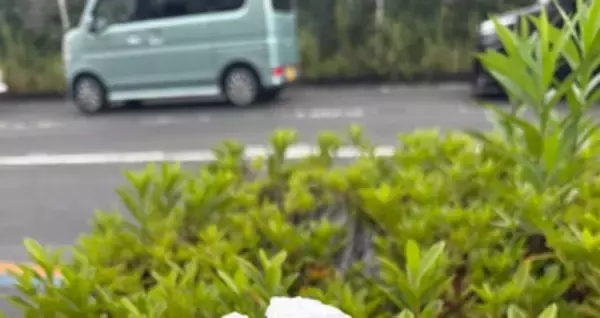 大切な推しぬいがビニール袋で“雨宿り”。SNSに投稿されたエピソードに「みんな優しい」の声