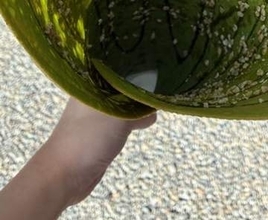 軽い気持ちでクレープ頼んだら“メガホン”出てきた⇨「デカすぎませんか！？」「落ちたら戻って来れなそう」