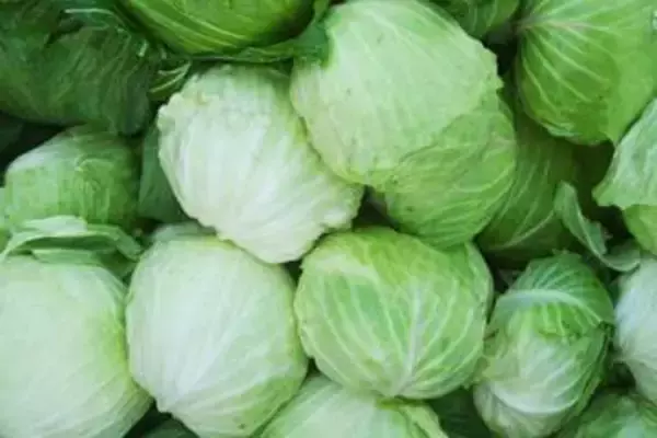 【春キャベツの正解はコレ】和えるだけで「簡単・激うま・コスパ良し」！キユーピー直伝、春キャベツの人気レシピ6選