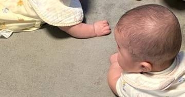生後5カ月の3つ子が早朝に“極秘会談”したら⇨顔を寄せ合う光景に「3人にしかわからない会話」「イタズラ作戦」の声