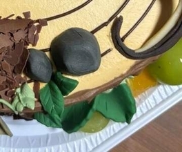 爬虫類好きの夫へ、妻がオーダーした誕生日ケーキがまさかの…⇨驚きのリアルさに「凄すぎ！」「職人技が光ってる」の声