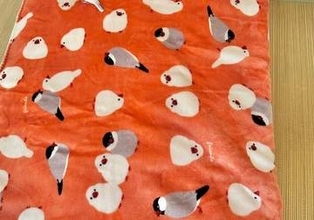 「この中に生きている文鳥が2羽います」⇨超難解な1枚に飼い主も思わず二度見「ウトウトしていると見つけられない…」