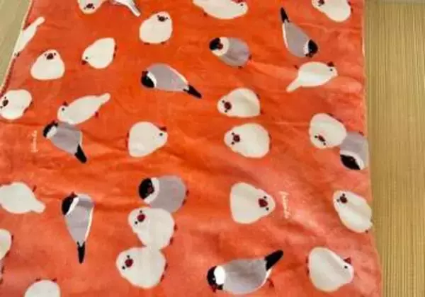 「この中に生きている文鳥が2羽います」⇨超難解な1枚に飼い主も思わず二度見「ウトウトしていると見つけられない…」