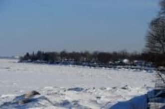 ほぼ視力のない難民がNYの路上で死亡。自宅から離れたコーヒーショップに国境警備隊に置き去りにされていた