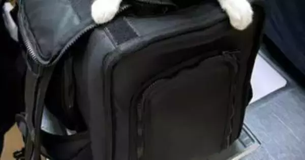動物病院に連れて来られた猫が...絶妙なリアクションに「これは100点！！」「姿勢点も満点」と称賛の声