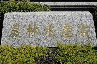 その黄色い花、駆除しないと大変なことに…「とんでもなく繁殖」「近所で広がってる」水田被害などの恐れ
