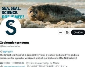 オランダの「アザラシ幼稚園」が財政危機…支援呼びかけに「寄付しました」「メンバー登録しました」と応援続々