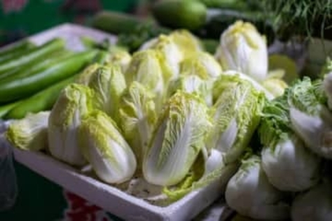 白菜とウインナーさえあれば「メインおかず」ができる。キユーピーの簡単レシピが「絶対うまい」と話題