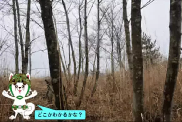 写真の中に自衛官が「1人」隠れています。あなたは見つけられる？