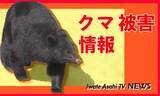 「クマに牛の餌を食べられる被害【岩手・遠野市】」の画像1
