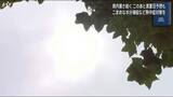 「県内１１カ所で夏日に　暑さ続く　熱中症に注意を【岩手】」の画像1