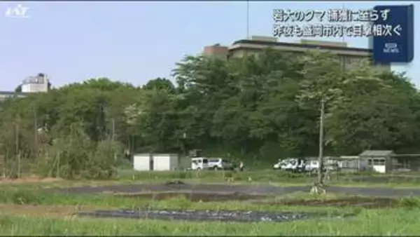 大学に居座っていたクマ罠にかからず　目撃情報多数【岩手】