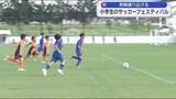 「小学生が熱戦　サッカーフェスティバル【岩手・盛岡市】」の画像1