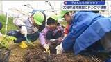 「東日本大震災の追悼施設「鎮魂の森あえーる」で全国の子どもたちが育てたドングリの苗木が植樹される【岩手・大槌町】」の画像1