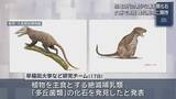 「きわめて希少　９０００万年前の地層から哺乳類化石【岩手・久慈市】」の画像1