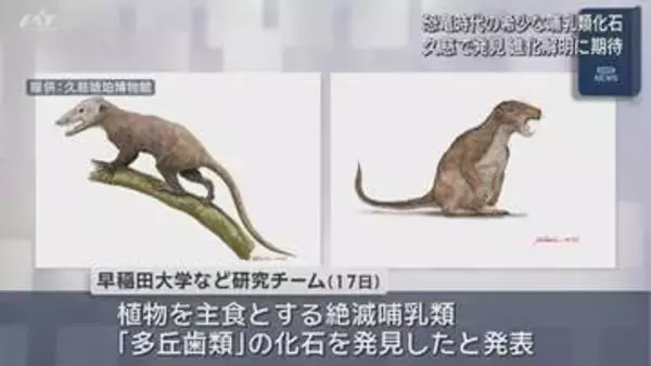きわめて希少　９０００万年前の地層から哺乳類化石【岩手・久慈市】