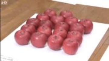 いわて純情りんごコンテスト　今年の出来は【岩手・北上市】