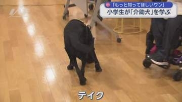 小学生が介助犬の役割を学ぶ【岩手・花巻市】