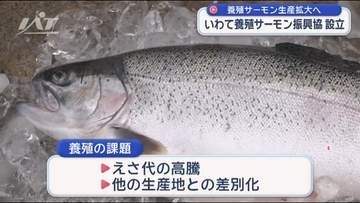 いわて養殖サーモン振興協議会が設立【岩手】