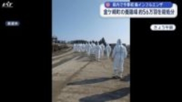 今季初　岩手・金ケ崎町で鳥インフルエンザ　殺処分開始