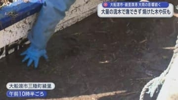 綾里漁港に大量の流木で船出せず　大雨に加え山火事影響か【岩手・大船渡市】